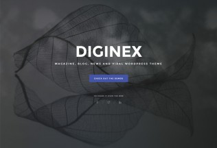 Diginex – Premium Responsive Magazine, Blog and Viral WordPress Theme