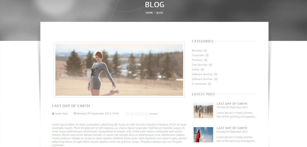 Blog post page