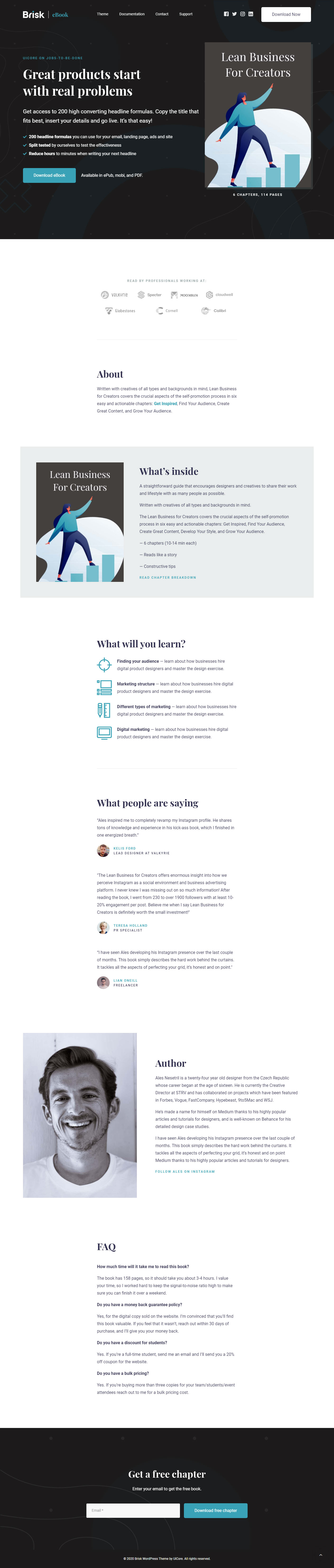 Brisk Best WordPress Themes for Selling eBooks
