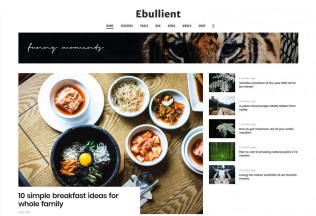 Ebullient – Premium Responsive News and Magazine WordPress Theme