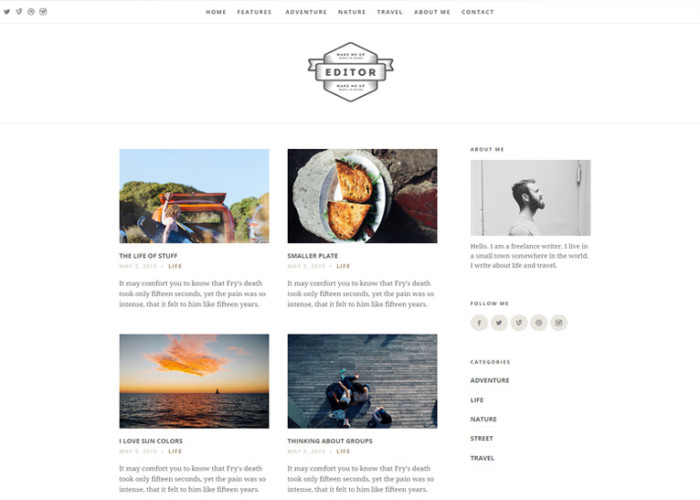Editor – Premium Responsive WordPress Theme for Bloggers
