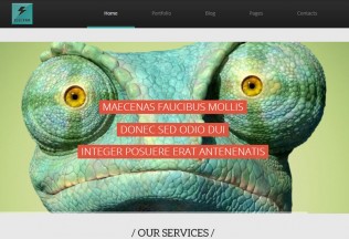 Electra – Premium Responsive Multipurpose WordPress Theme