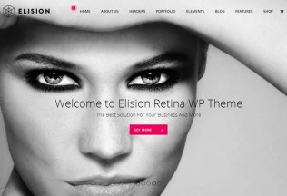 Elision – Premium Responsive Retina Multipurpose WordPress Theme