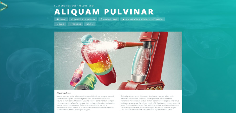 Blog post page