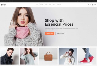 Elsey – Premium Responsive eCommerce WordPress Theme