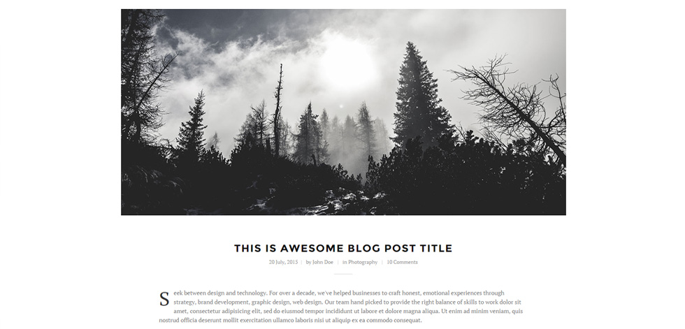Blog post page