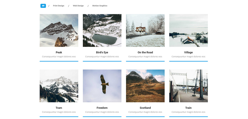 Portfolio