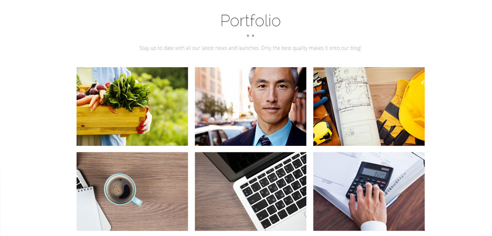 Portfolio