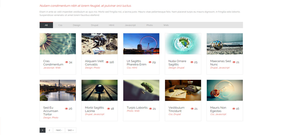 Portfolio