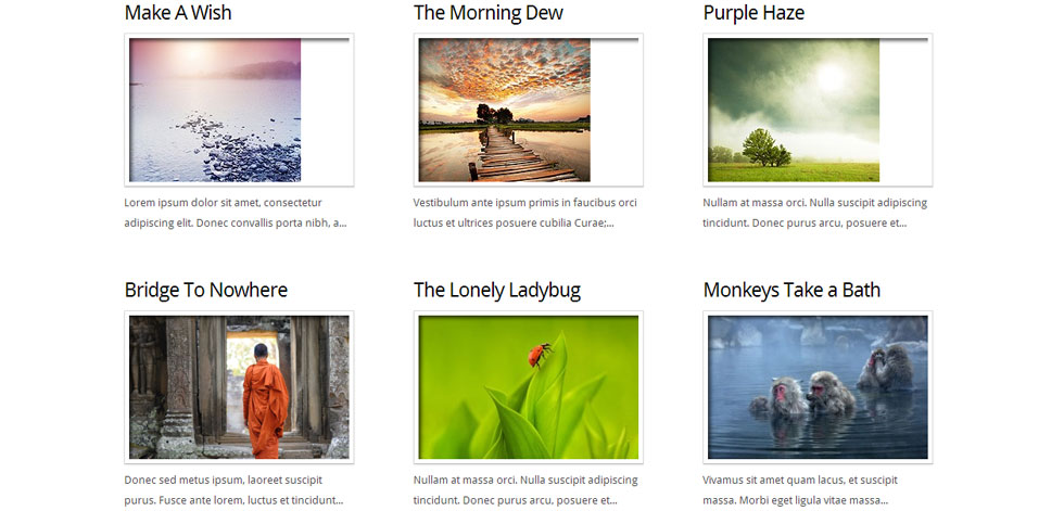 Portfolio
