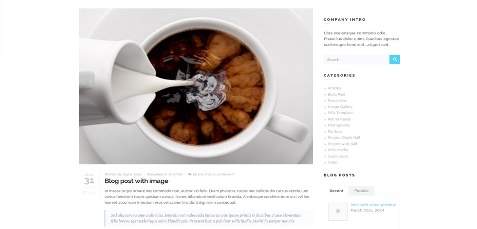 Blog post page