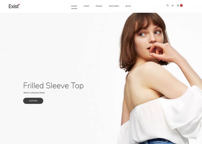 Exist – Premium Responsive Wonderful Fashion HTML5 Template