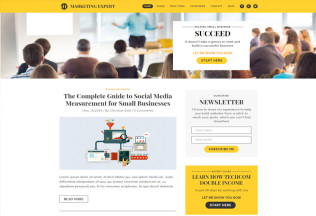 Expert – Premium Responsive Blog WordPress Theme for Marketer