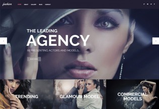 Fashion Spot – Premium Responsive WordPress Theme