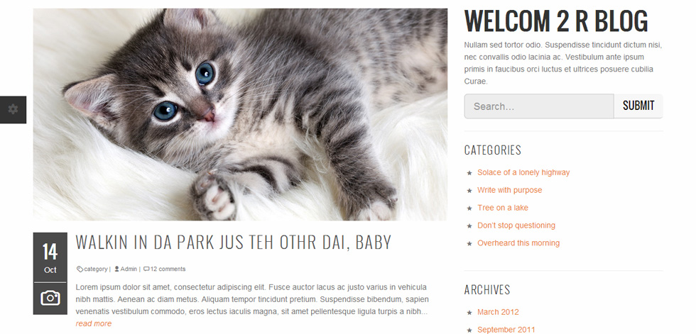 Blog post page