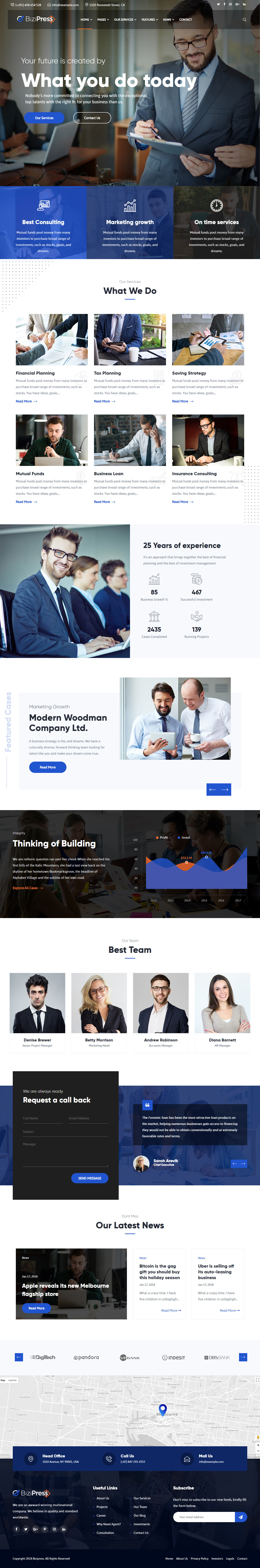 BiziPress WordPress Accounting Themes