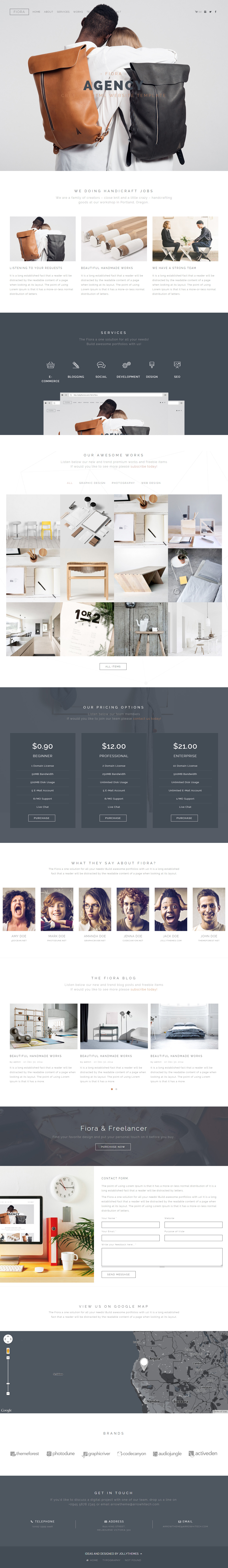 Fiora Drupal Portfolio Themes