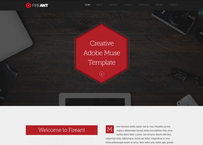 Fireant – Premium Multipurpose One Page Muse Template