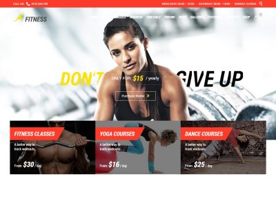 4 Best Responsive WordPress Gym and Fitness Themes in 2014