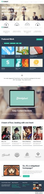10+ Best Responsive Wordpress Themes with Flat Design in 2013