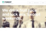 Forest – Premium Responsive Wordpress Theme