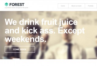 Forest – Premium Responsive WordPress Theme