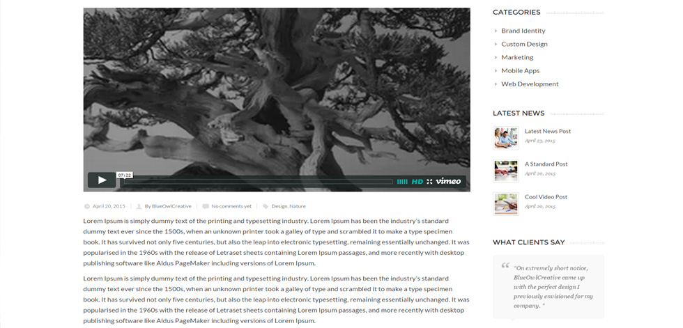 Blog post page