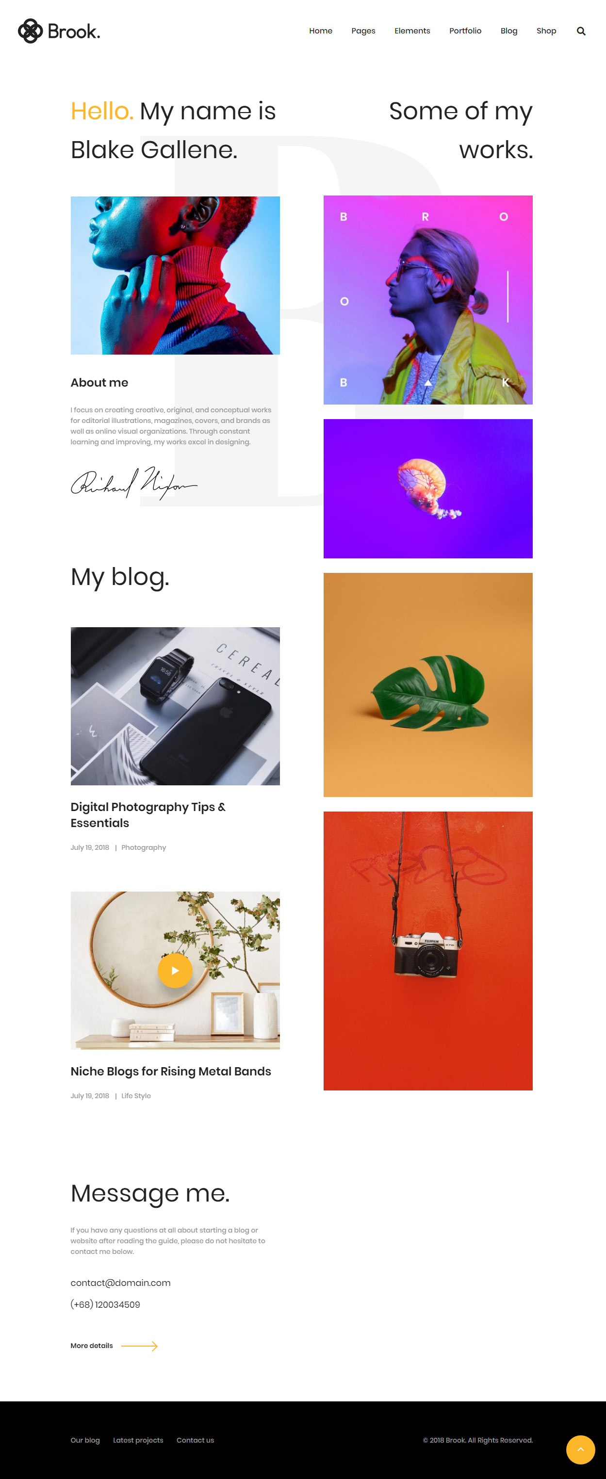 Brook Freelance WordPress Themes