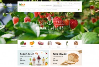 Fresh – Premium Responsive Multipurpose Magento 2 Theme