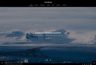Fungus – Premium Responsive Photography / Portfolio HTML5 Template