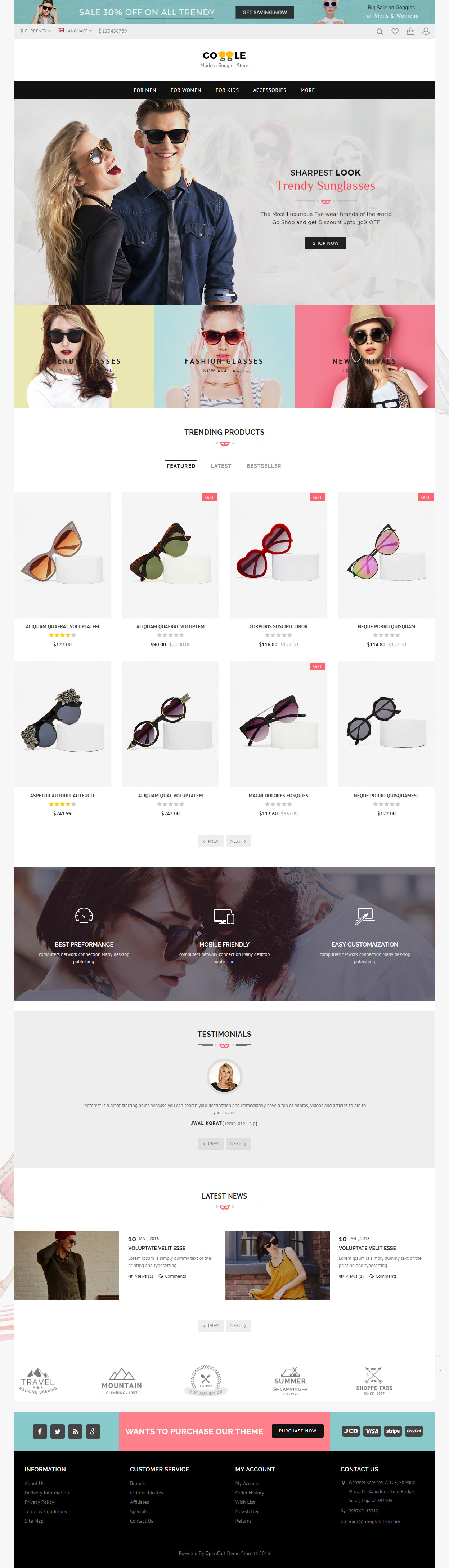 Modern Opencart Glasses Template
