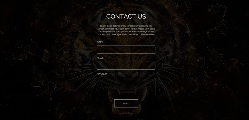 Contact page