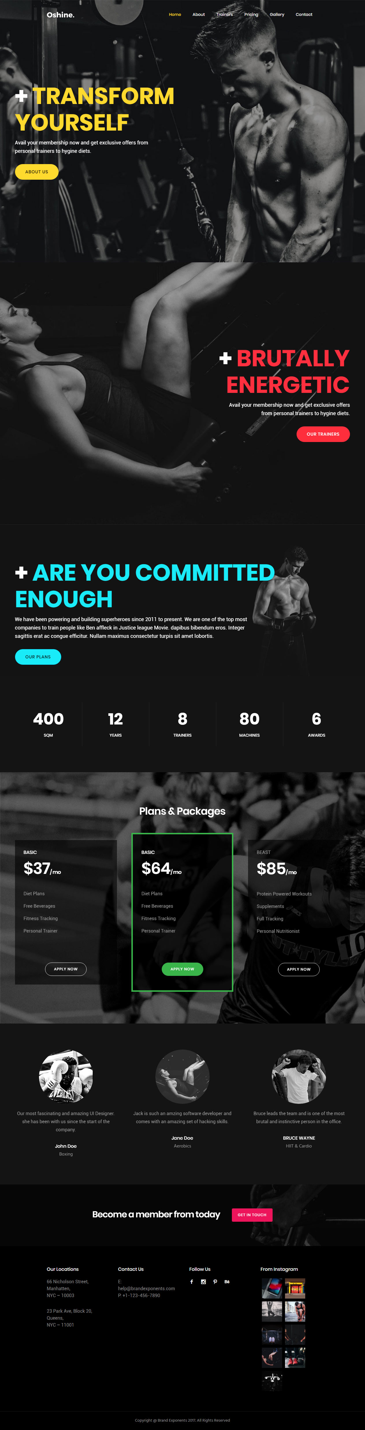 Oshine WordPress Fitness and Gym Themes