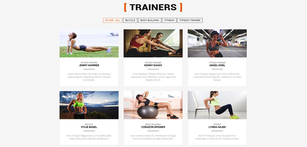 Trainers