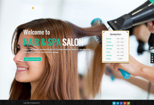 Hair Care – Premium Responsive Creative MultiPurpose WordPress Theme