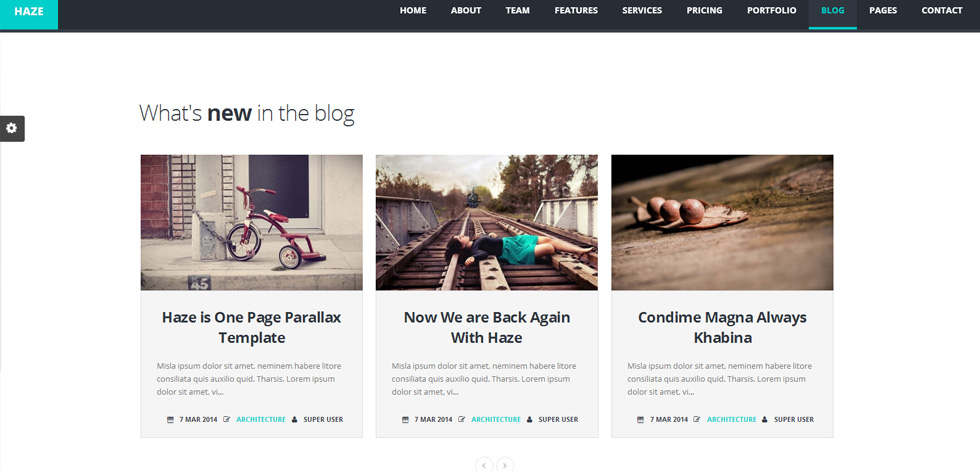 Blog post page