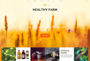 Healthy Farm – Premium Responsive Food & Agriculture WordPress Theme
