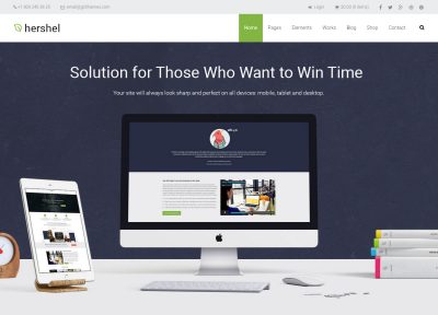 5+ Best Responsive WordPress Themes with eCommerce Plugin