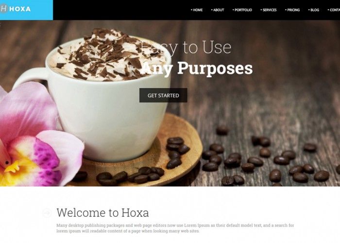 Hoxa – Premium Responsive MultiPurpose WordPress Theme