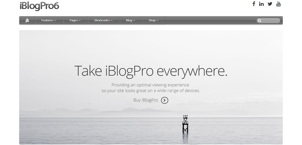 Home Page