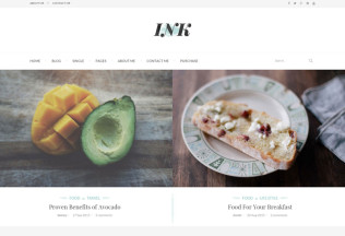 INK – Premium Responsive Elegant Magazine Blog WordPress Theme