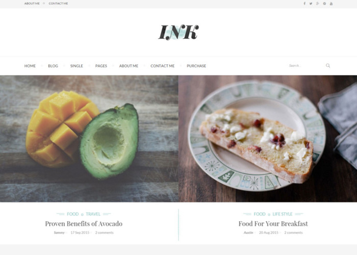 INK – Premium Responsive Elegant Magazine Blog WordPress Theme