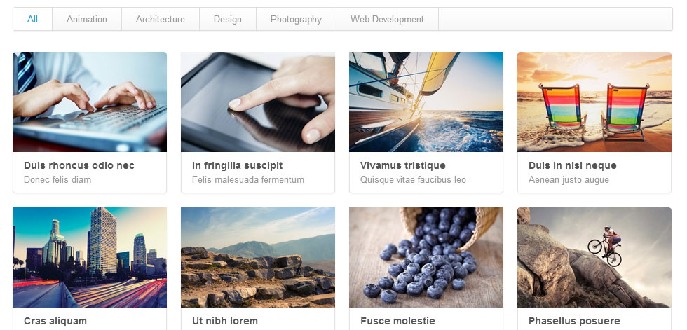 Portfolio Page
