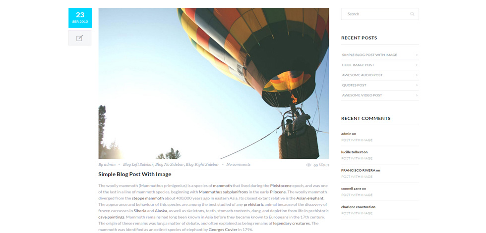 Blog post page
