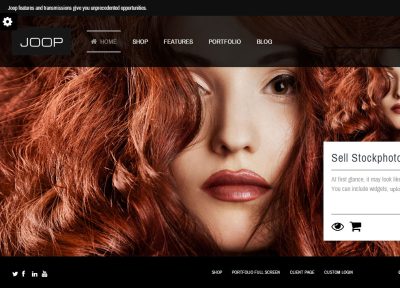 10 Best Responsive WordPress Portfolio Themes – November 2013