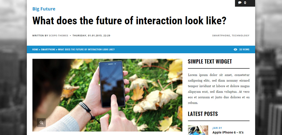 Blog Post Page
