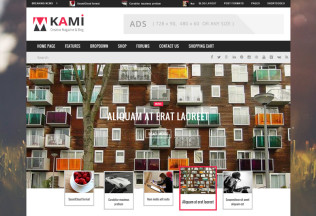 KAMI – Premium Responsive Magazine and Blog Drupal Theme