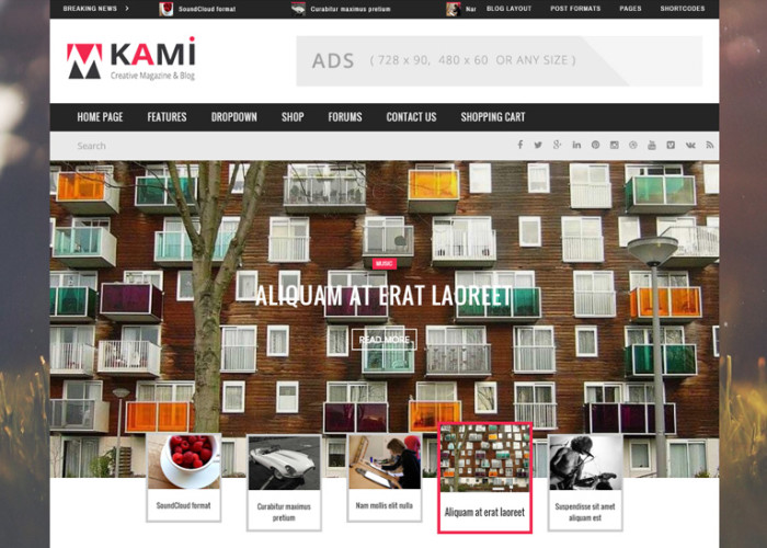 KAMI – Premium Responsive Magazine and Blog Drupal Theme