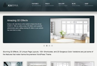 Karma – Premium Responsive WordPress Theme for Medical web site