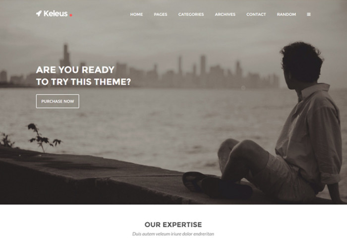 Keleus – Premium Responsive Business Tumblr Theme